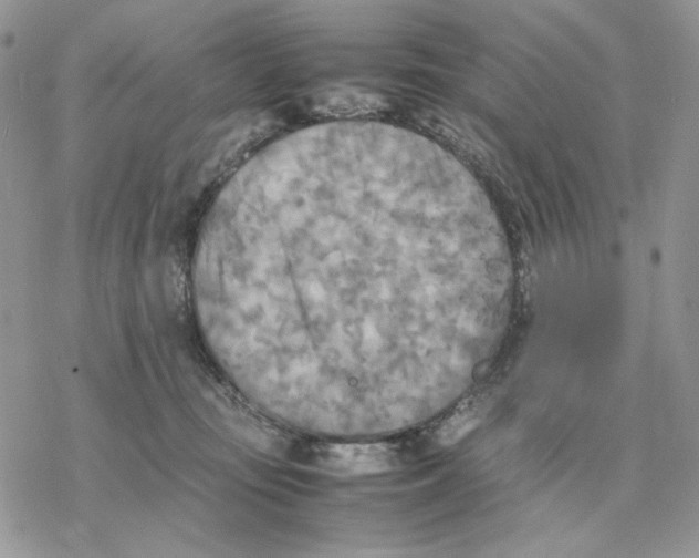 X0000077330371200611171813