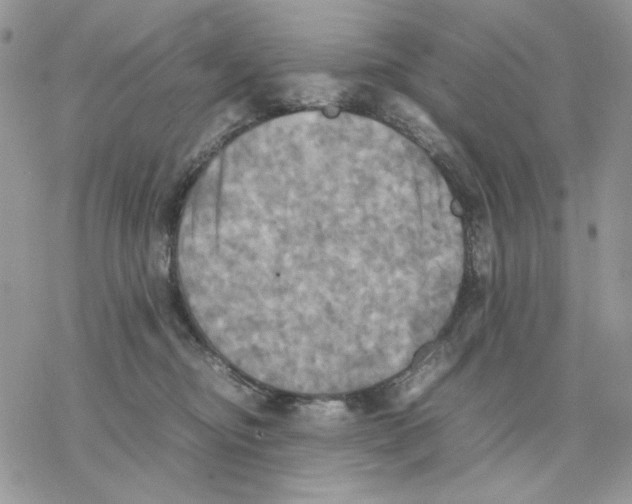 X0000077330374200611171813