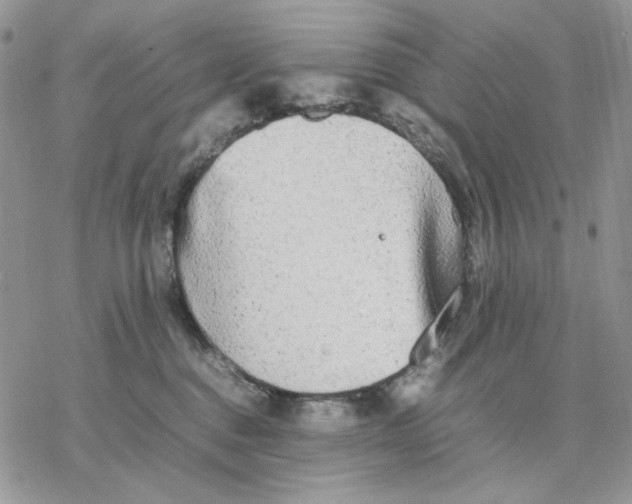 X0000077330376200611171813