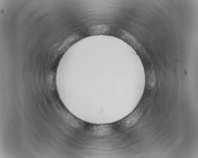 X0000077330378200611171813