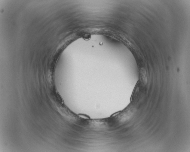 X0000077330380200611171813