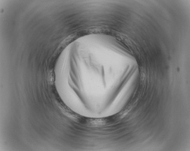 X0000077330383200611171813