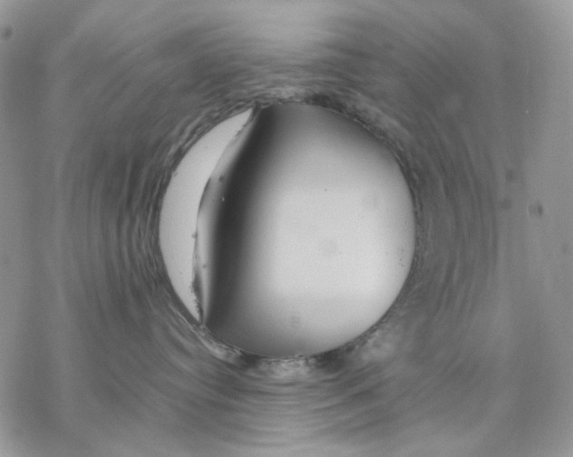 X0000077330384200611171813