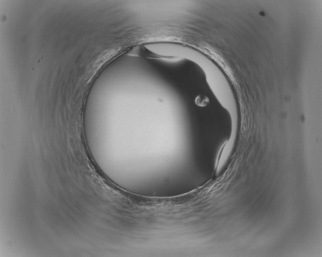 X0000077330385200611171813