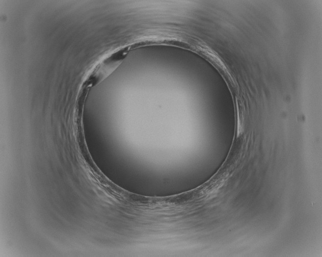 X0000077330387200611171813