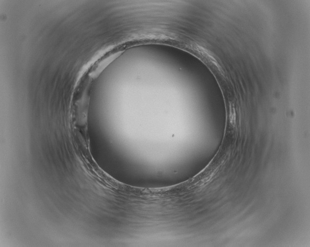 X0000077330388200611171813