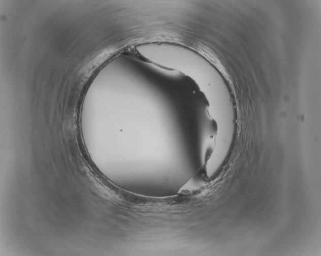 X0000077330389200611171813