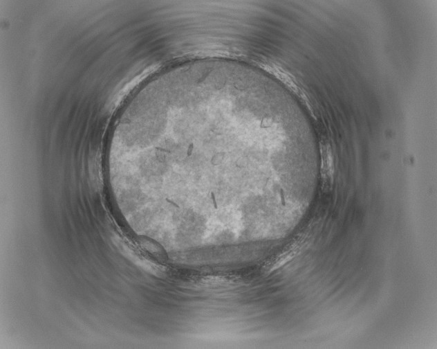 X0000077330390200611171813