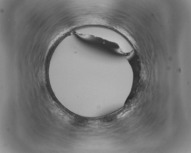 X0000077330391200611171813