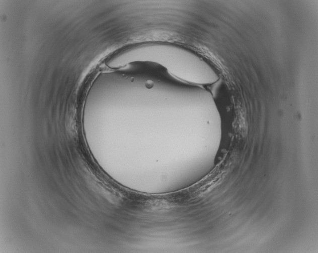 X0000077330392200611171813