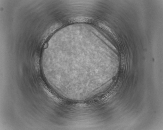 X0000077330394200611171813