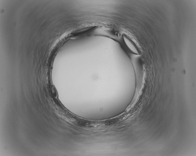 X0000077330395200611171813