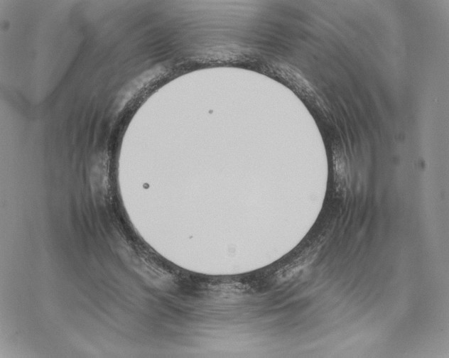 X0000077330396200611171813