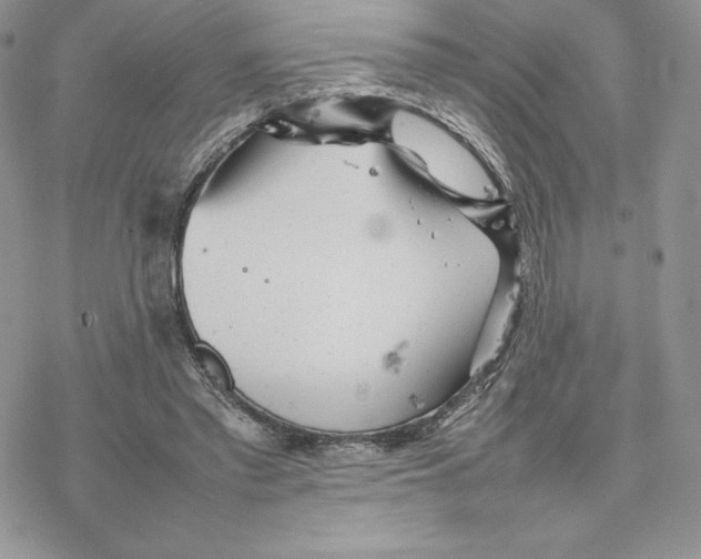 X0000077330397200611171813