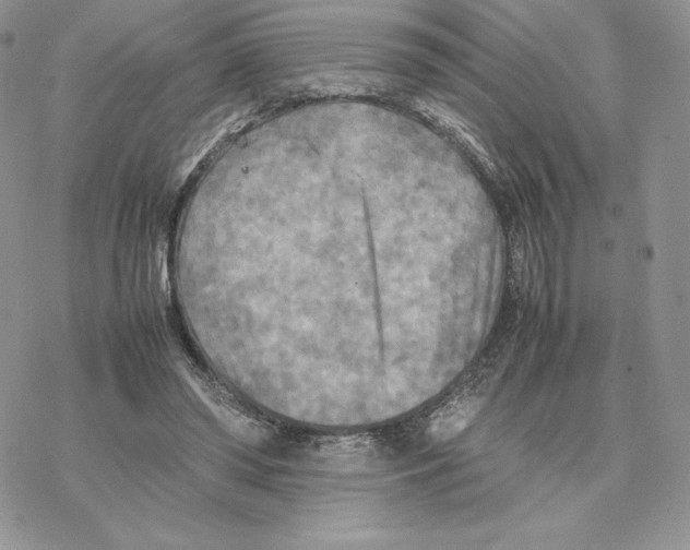 X0000077330398200611171812