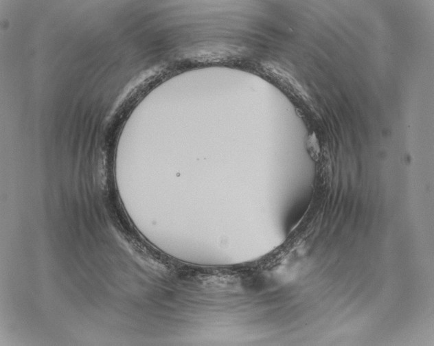 X0000077330400200611171812