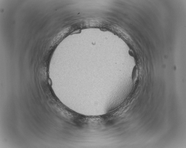 X0000077330401200611171812