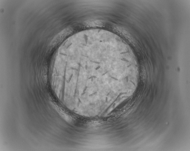 X0000077330402200611171812