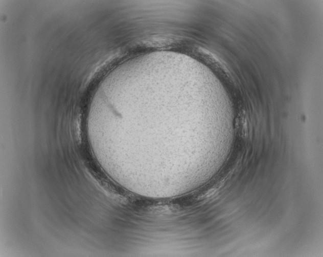 X0000077330404200611171812