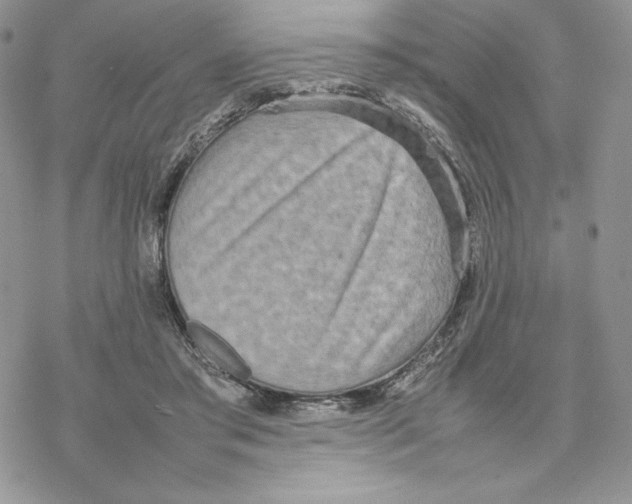 X0000077330405200611171812