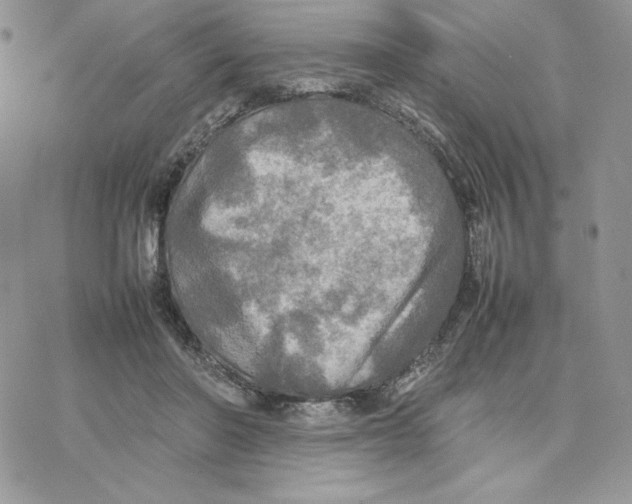 X0000077330406200611171812