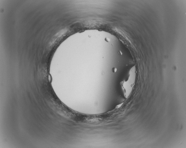 X0000077330407200611171812