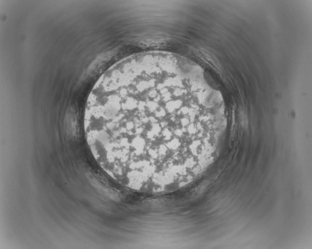 X0000077330408200611171812