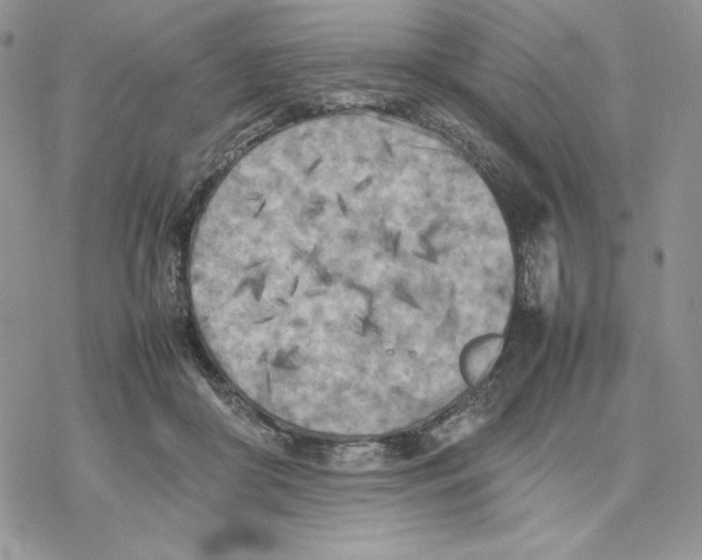 X0000077330410200611171812