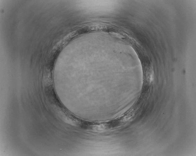 X0000077330411200611171812