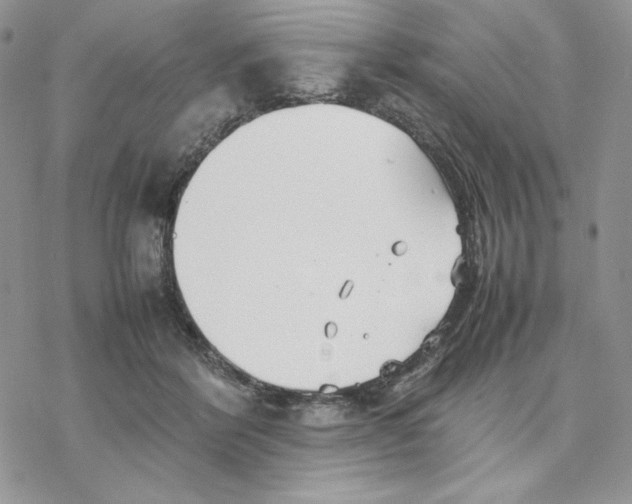 X0000077330412200611171812