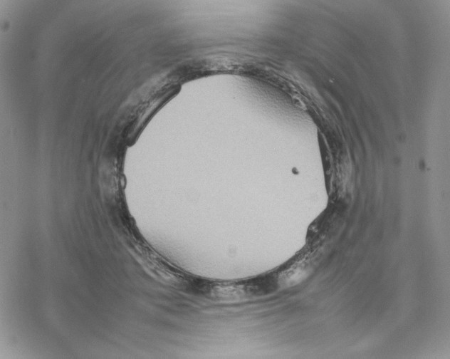 X0000077330413200611171812