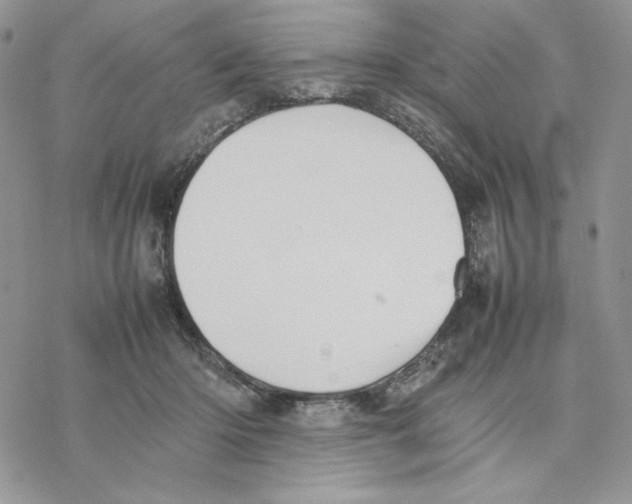 X0000077330414200611171812