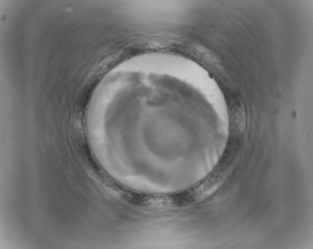 X0000077330415200611171812