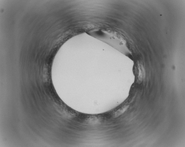 X0000077330416200611171812