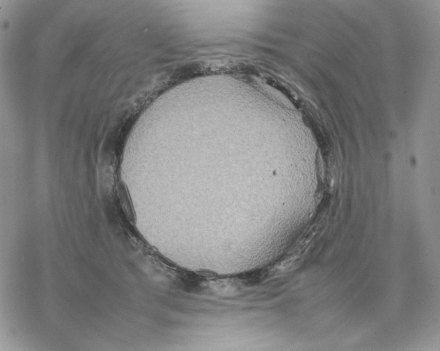 X0000077330417200611171812