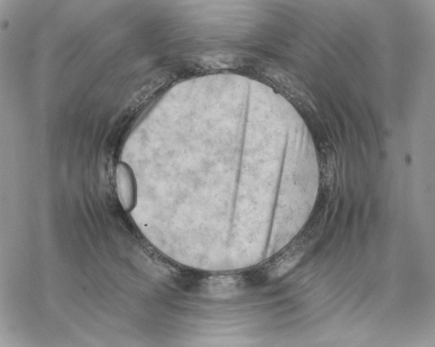 X0000077330418200611171812