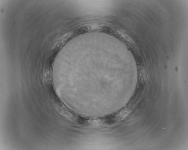 X0000077330419200611171812