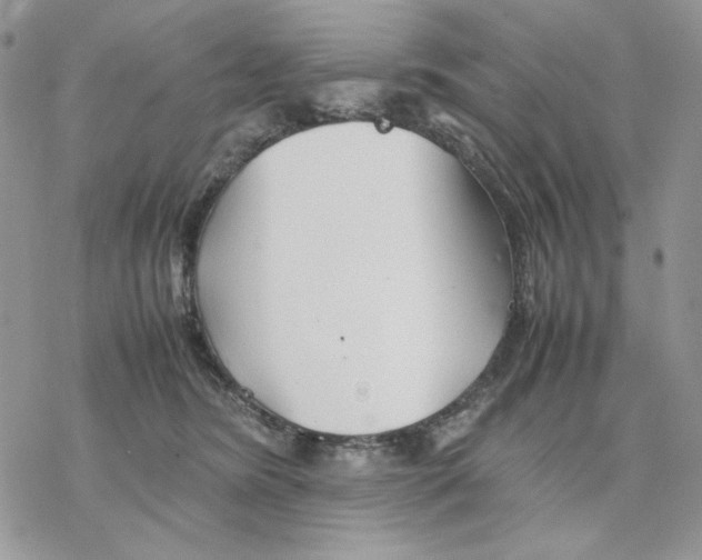 X0000077330420200611171812