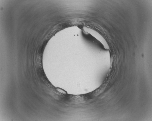 X0000077330421200611171812