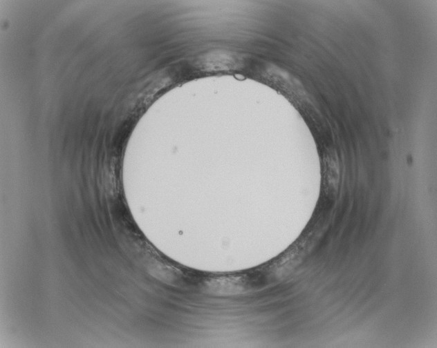 X0000077330422200611171812