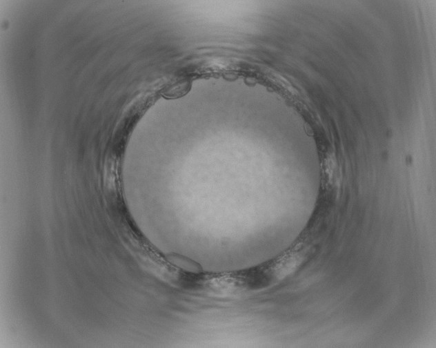 X0000077330423200611171812