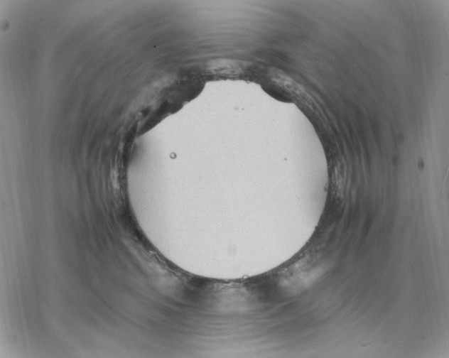 X0000077330424200611171812