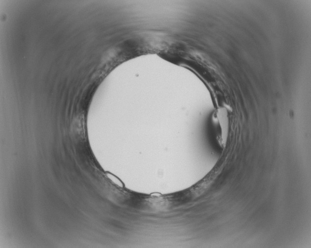 X0000077330425200611171812