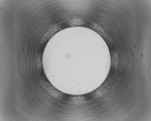 X0000077330426200611171812