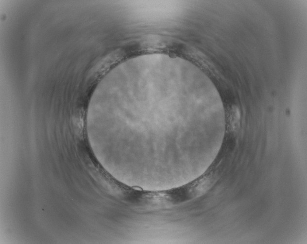 X0000077330427200611171812