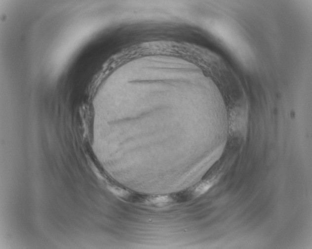 X0000077330431200611171812