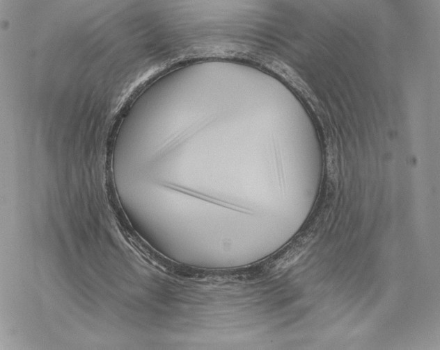 X0000077330434200611171811