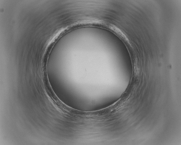 X0000077330436200611171811