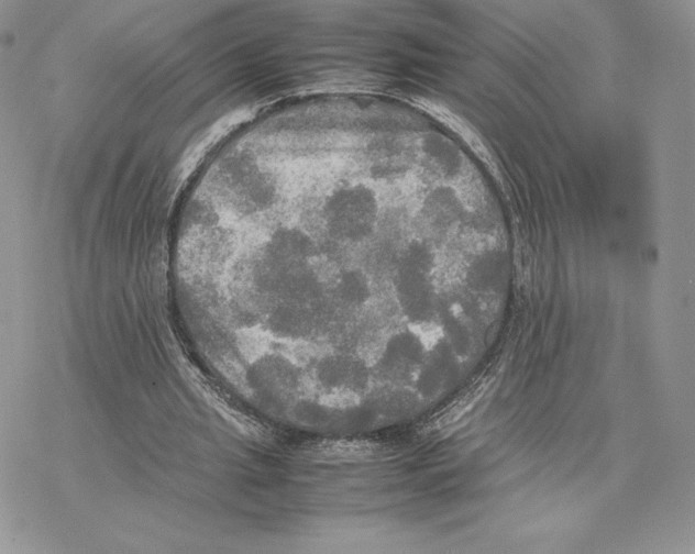 X0000077330437200611171811