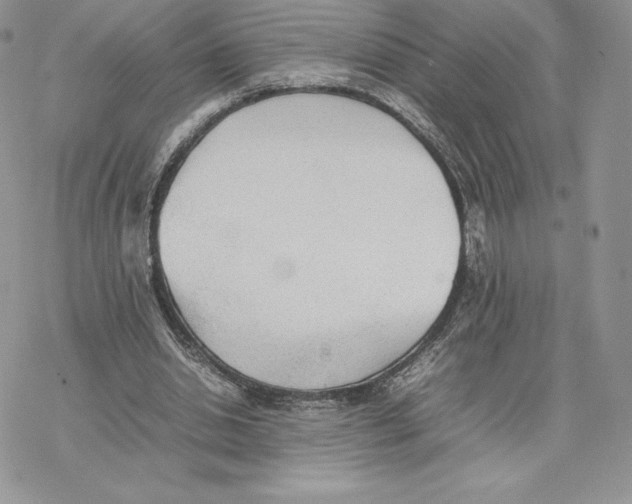 X0000077330438200611171811